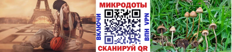 Псилоцибиновые грибы прущие грибы  Кадников 